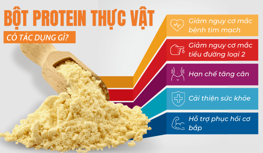 Bột protein Orgain Organic Protein