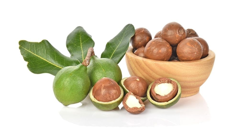 Hạt Macadamias Úc 500g