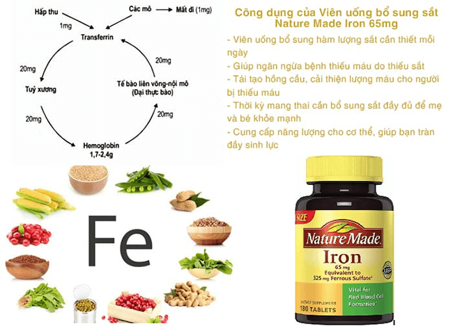 Viên uống bổ sung sắt Nature Made Iron 65 mg 180 viên của Mỹ