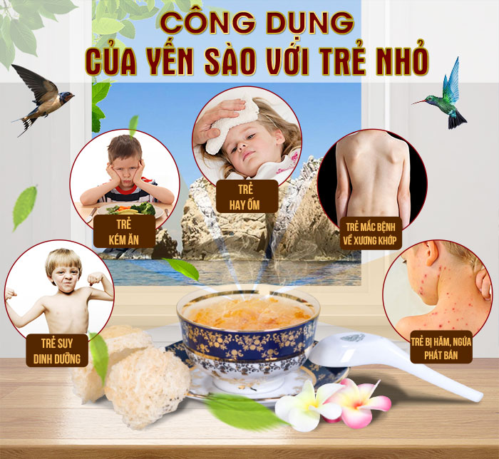 Ăn yến sào bao lâu thì có tác dụng? - Yến Sào Yêu Thương